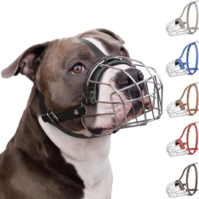 Image de BRONZEDOG Muselière pour Chien Pitbull avec Panier métallique Amstaff Pit Bull Sangles réglables en Cuir (M)
