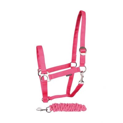 Image de Harry&#039;s Horse Ensemble licol Initial Shetland Fuchsia