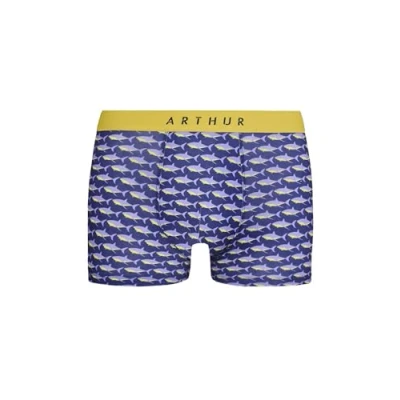 Image de ARTHUR Boxer Homme Requin Coutures Plates Bande élastiquée Siglée Maille Microfibre Marine Taille L