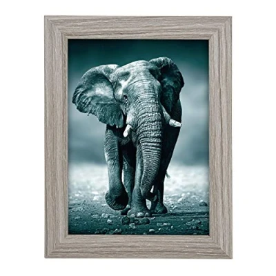 Image de Goldbuch 92 0742 Toscana Cadre Photo en Bois Portrait avec Support et Mural Simple MDF Gris Pour au Format 10 x 15 cm