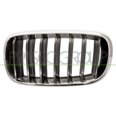 Image de BLIC 6502 07 00969911P Calandre avant gauche chrome, noir BMW: X5, X6