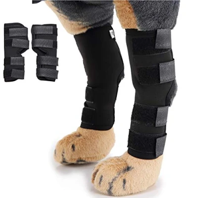 Image de Hmpet Protecteur Coude Chien Attelle De Jambe Chien, Jarret Entretoise pour Animal Compagnie avec 4 Sangles Sécurité Guérir des Blessures Entorses Arthrite (Paquet 2),Noir,L