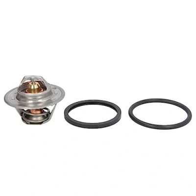 Image de Thermostat d&#039;eau CALORSTAT by Vernet TH6313.88J