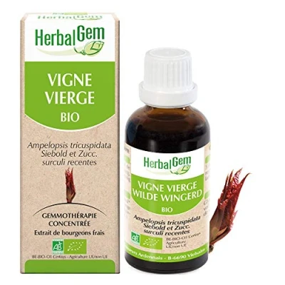 Image de Herbalgem Vigne Vierge Bio Complément Alimentaire Extrait de Bourgeon Frais Pour Circulation, Antioxidant, Santé la peau et cardiovasculaire 30 ml