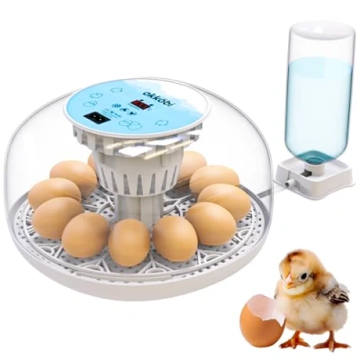Image de M12 Couveuse Oeuf Automatique Contrôle Humidité, Réglage Température, 12/24 œufs Retournement Auto Oeufs, Vue 360, facile à utiliser et nettoyer Incubateur
