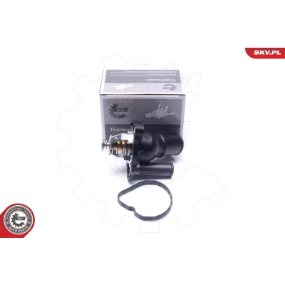 Image de Thermostat d&#039;eau ESEN SKV 20SKV194