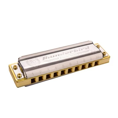 Image de Hohner ThunderBird 10 trous Do grave Harmonica diatonique