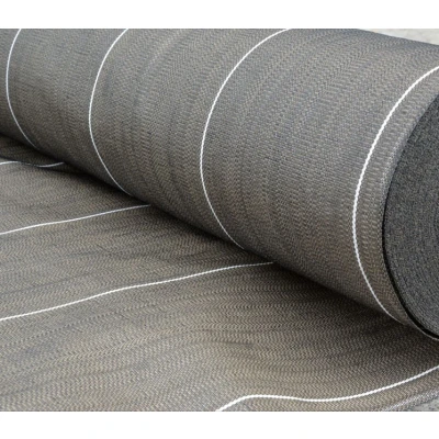 Image de &#039;Direct Filet&#039;&#039; &#039;Toile de paillage 4.15 x 100m 130g Vert