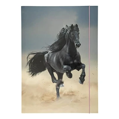 Image de folia 69001 Chemise à Rabats A3 Basic Black Horse, en Carton Solide avec élastique, 69001, Multicoloured