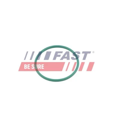Image de FAST FT49921 Bague d&#039;étanchéité, gaine de suralimentation PEUGEOT: 307 SW, 3008 I, 207 CITROËN: C4 Picasso 1, C5 II 5 portes, I 3/5 portes