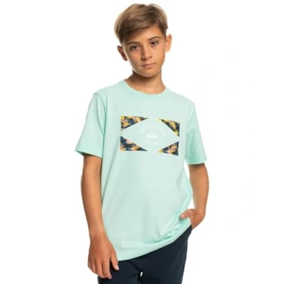 Image de Quiksilver Garçon Circled Line Yth T shirt, Beach Glass, 8 ans EU