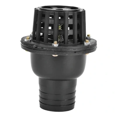 Image de Vanne à Pied de La Pompe Eau, Clapet Anti Retour Basse Pression pour Machine Liquide fluide, pomme douche (2 pouces)