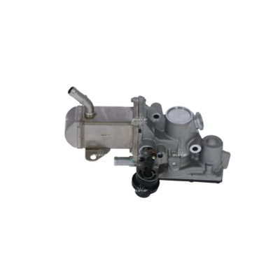 Image de NRF 48207 Module AGR avec radiateur EGR RENAULT: GRAND SCENIC 3, MEGANE 3 Coupe