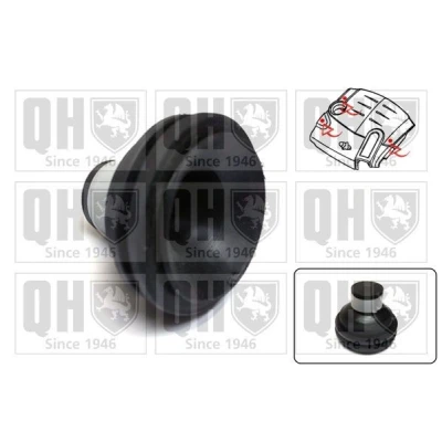 Image de QUINTON HAZELL EM4839 Cache moteur RENAULT: TWINGO 2, Kangoo I, Trafic 3, DACIA: Logan I MCV, Berline, OPEL: Vivaro B Van oscaro, mister auto,