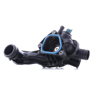 Image de Thermostat d&#039;eau FACET 7.8863