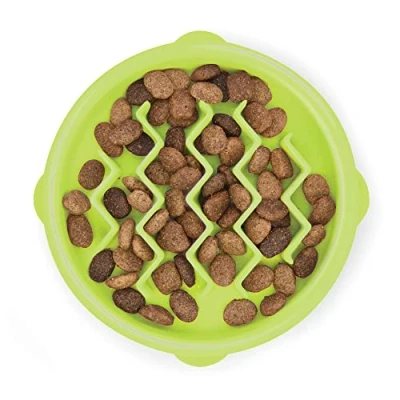Image de Petstages Gamelle anti glouton Kitty Slow Feeder pour chat vert