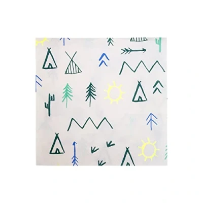Image de Lot de 20 serviettes en papier Indiens Explorons Meri