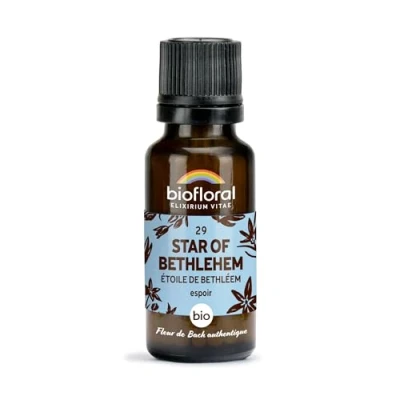 Image de BIOFLORAL 29 Star of Bethlehem, Étoile de Bethléem BIO Espoir Fleur Bach Authentique 470 Granules Sans Alcool