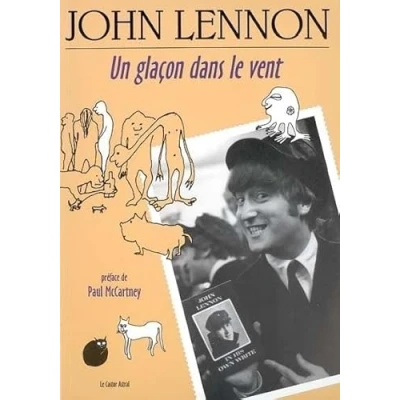 Image de Un glacon dans le vent Livre d’occasion Correct