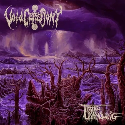 Image de Threads of Unknowing