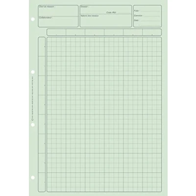 Image de ELVE Lot de 5 Blocs Audit Comptable pour Contrôle Interne A4 80 pages vert