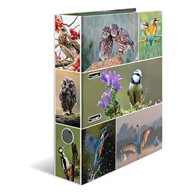 Image de HERMA Classeur à levier Avec motif oiseaux Dos 70 mm impression intérieure Format A4