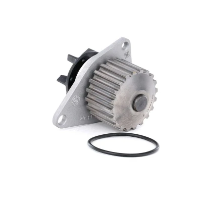 Image de INA 538 0009 10 Pompe à eau 20 avec joint d&#039;étanchéite PEUGEOT: 106 II 3/5 portes, 206 307 portes