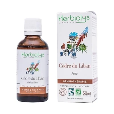 Image de Herbiolys Macérat de bourgeons Bio Cèdre Liban (Cedrus libani) Peau Gemmothérapie 50 ml