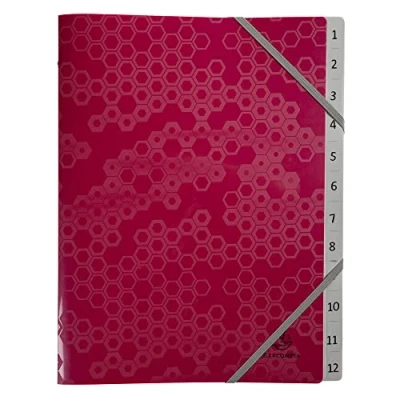 Image de Exacompta Réf. 58310E Trieur avec 3 rabats Maïa fermeture par élastiques en polypropylène recyclé 12 compartiments dimensions 25x32 cm pour A4 couleurs aléatoires