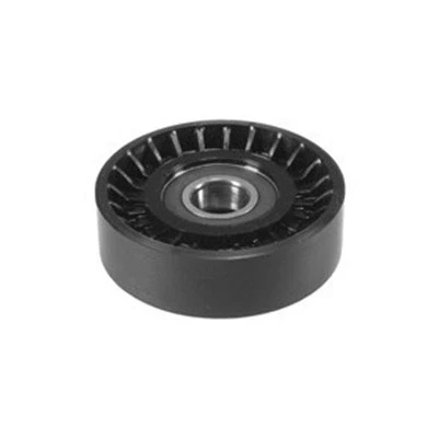 Image de MAGNETI MARELLI 331316170012 Poulie, courroie de distribution