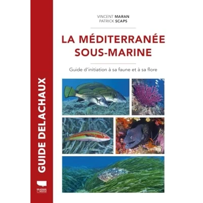 Image de Méditerranée sous marine: Guide de la faune et flore