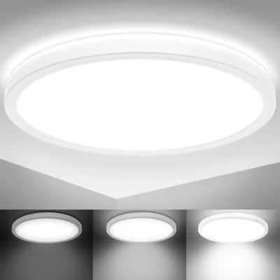 Image de B.K.Licht Panel LED ultra plat, 18W, 2400Lm, lumière blanche neutre 4000K, éclairage plafond, indirecte, fonction mémoire, plafonnier pour bureau, couloir, salon, rond Ø293mm
