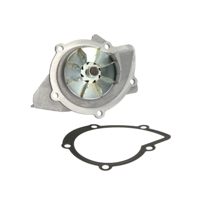 Image de HEPU P801 Pompe à eau 19 avec joint d&#039;étanchéite mécanique PEUGEOT: 307 3/5 portes, 308 I 5008 I, CITROËN: C5 3, Jumpy II Van
