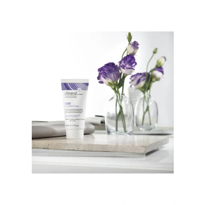 Image de Ahava Clineral SEBO Facial BALM Cream Soin de jour, Taille: 50 ml,