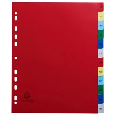 Image de Exacompta Réf. 92E Carton de 20 Intercalaires en polypropylène avec 12 onglets imprimés mensuel Janvier à Décembre couleur Page d&#039;indexation imrpimable Format classer A4 maxi