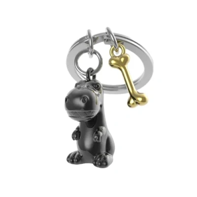 Image de METALMORPHOSE Porte clés T Rex &amp; son os MTM225 01