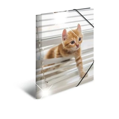 Image de HERMA 19337 Classeur DIN A3 en plastique solide avec effet brillant et rabats intérieurs imprimés Motif animaux chats