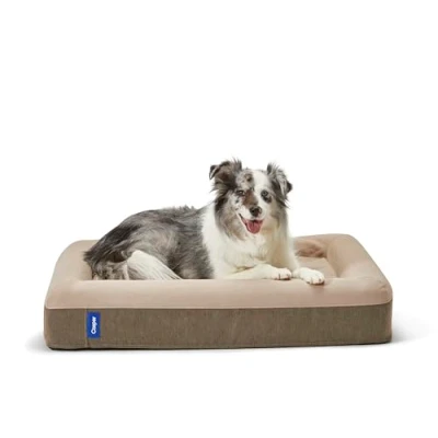Image de Casper Panier pour Chien en Mousse à mémoire de Forme Sable Taille S