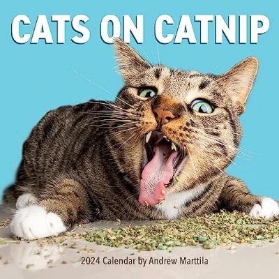 Image de Cats on Catnip Wall Calendar 2024: A Year of Living the High Life and Feeling Niiiiice
