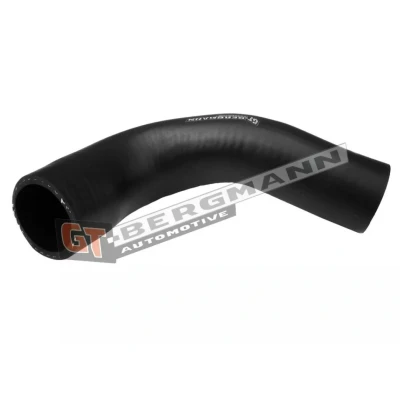 Image de SASIC 3334045 Gaine De Suralimentation RENAULT: Modus / Grand Modus, CLIO 3