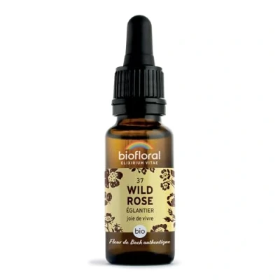 Image de Pranarôm BIOFLORAL 37 Wild Rose, Églantier BIO DEMETER Joie de Vivre Fleur Bach Authentique Compte gouttes 20 ML