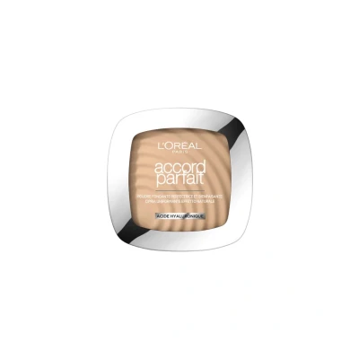 Image de L&#039;Oréal Accord Parfait Poudre compacte 2.N
