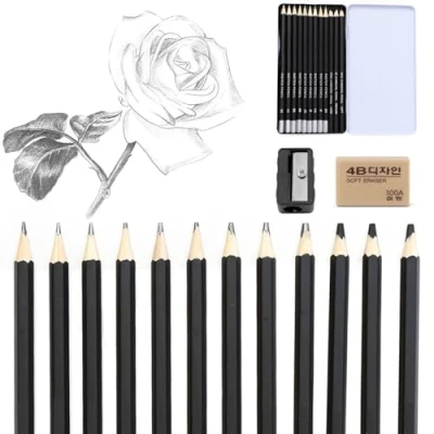 Image de Crayon dessin professionnel (12 branches), Crayons Graphite, graphite professionnels pour croquis, 2H, H, HB, B, 2B, 4B, 5B, 6B, 8B, doux, moyen, dur, avec Gomme, taille crayon, Noir