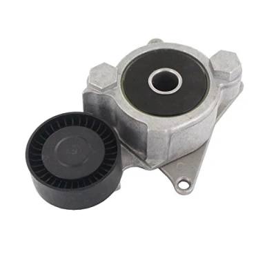 Image de SKF VKM 61016 Kit de galet enrouleur multi V