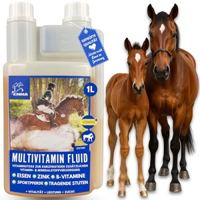 Image de Vitamine b Complexe Cheval I Multivitamines pour Chevaux vitamines avec C K B1 B2 B6 B12 Zinc système immunitaire VIT Jument Poulain Nourriture 1L