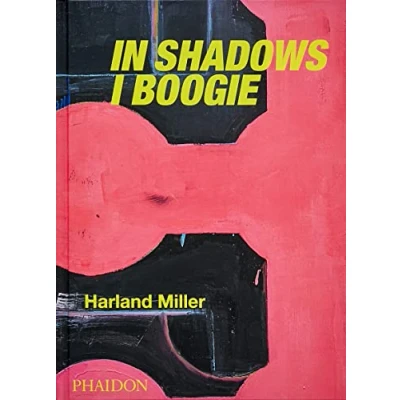Image de Harland Miller : in shadows I boogie, revised and expanded edition