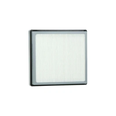 Image de Filtre Hepa NILFISK CDF2000 GD1000 GD1010 Accessoire Aspirateur Filtration Optimale