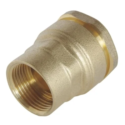 Image de SOMATHERM FOR YOU, Raccord laiton droit pour tube PE Ø20 mm Femelle 1/2&quot; Sens unique de montage Résistant jusqu&#039;à 20 bars Température 10C à +80C Garantie 5 ans