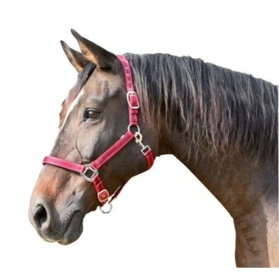 Image de Kerbl Licol Mustang Réglable Rouge Cob