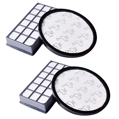 Image de Filtre Remplacement Hepa pour Aspirateur X Trem Power Cyclonic ZR006001 (RO69xx) (2 kit)